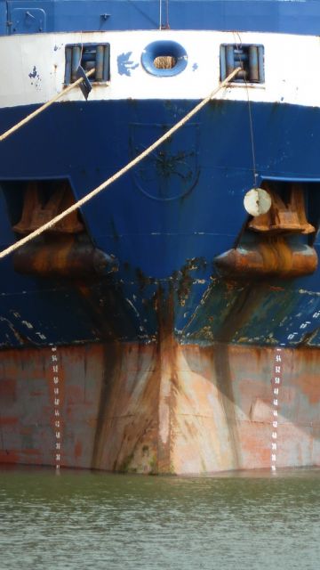 bulbe Poet - 29 mai 2013 (02).JPG